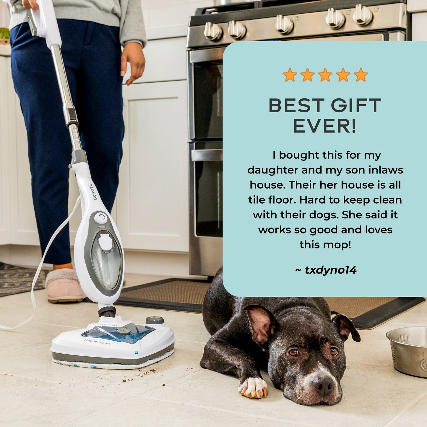 Oupal 10 in 1 All Purpose Steamer