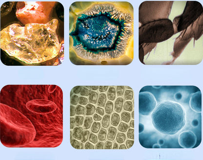 Kid's Portable Pocket Microscope