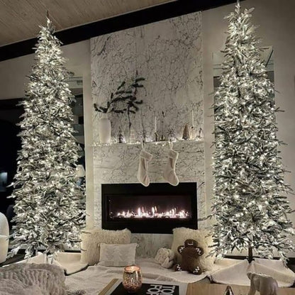 Christmas Tree Lights