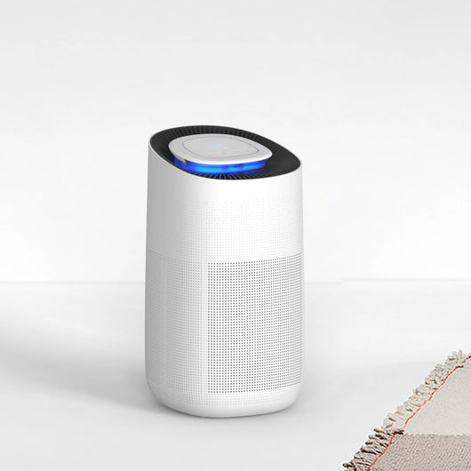 Oupal Air Purifier